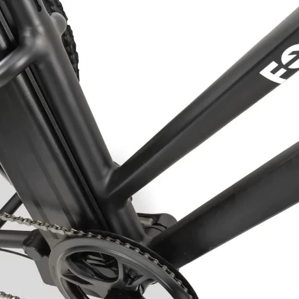 GoBike Forte - Electric Tricycle - Trike