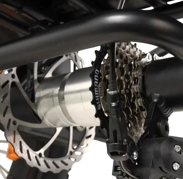 GoBike Forte - Electric Tricycle - Trike