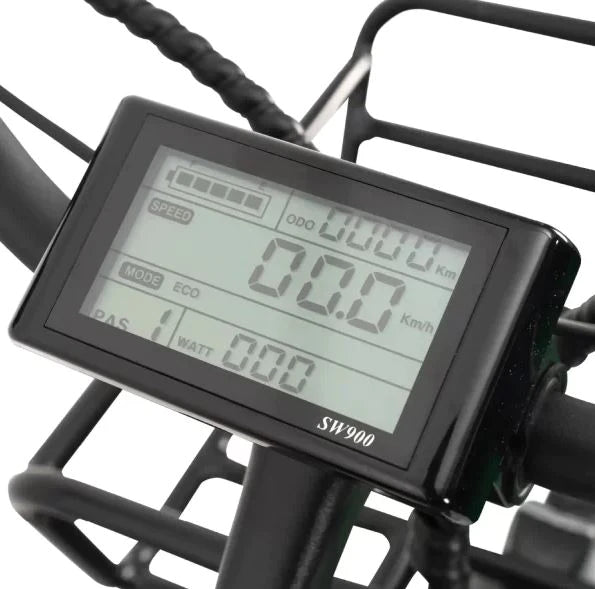 GoBike Forte - Electric Tricycle - Trike