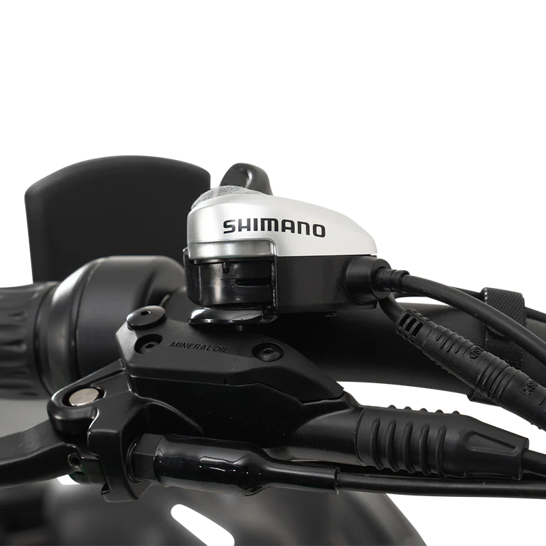 GoBike Forza Compact - Foldable Electric Tricycle - Trike